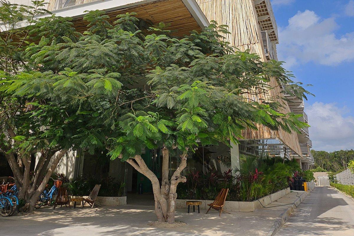 Siente Tulum Hotel ภายนอก รูปภาพ